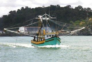 Sardine/anchovy fishing boat